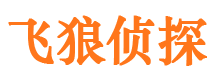 民勤市婚外情调查